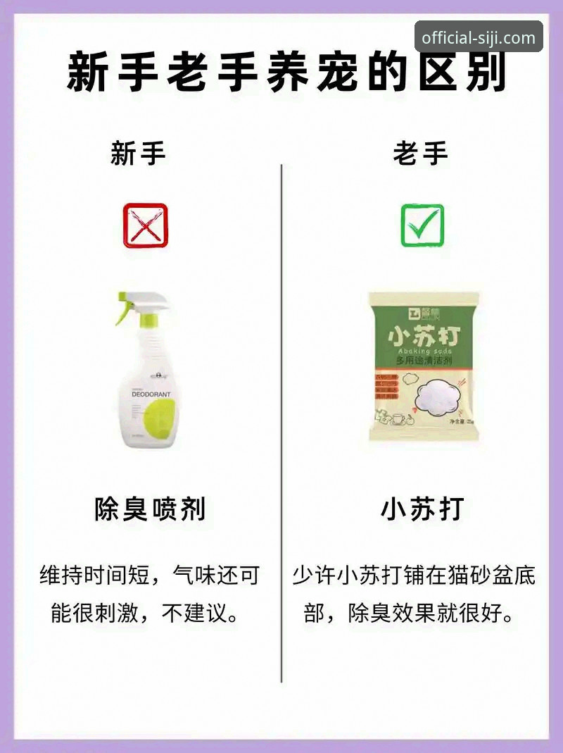 掌握四季体育平台下载的实用技巧，新手老手都适用的必备知识